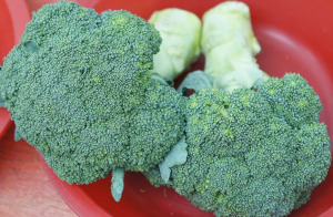 Broccoli schützt Gefäße und idst blutdrucksenkend