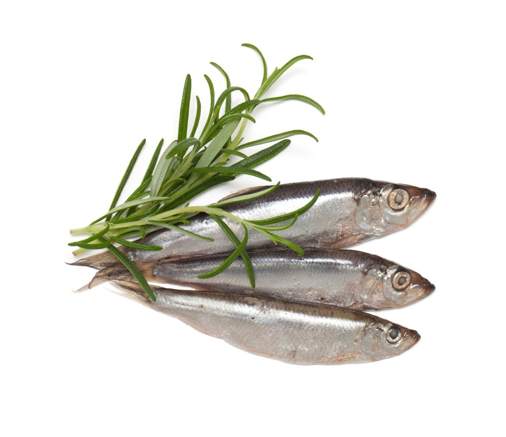 21 Tage Stoffwechselkur Omega 3 Fettsäuren